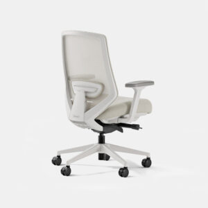 Ergonomic Chair Pro (Copy)